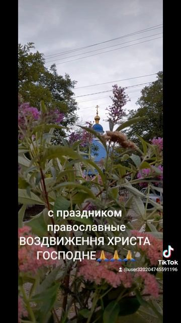 1000029396.mp4