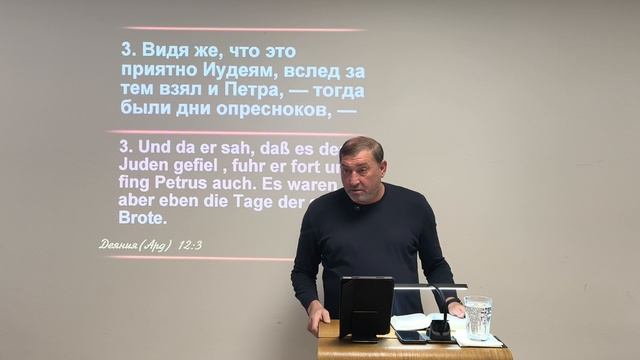 Голуби Ястребы и Агнец с горы.mp4