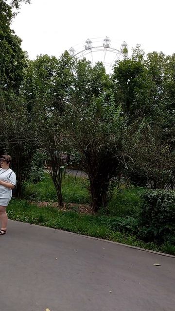 Интервью