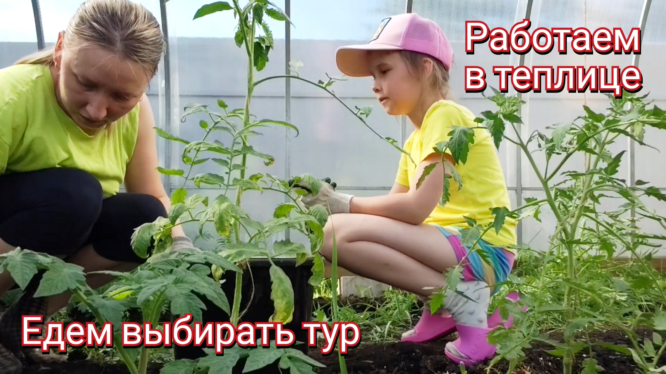 Решили этим летом съездить на море. Едем выбирать тур. Работаем в теплице