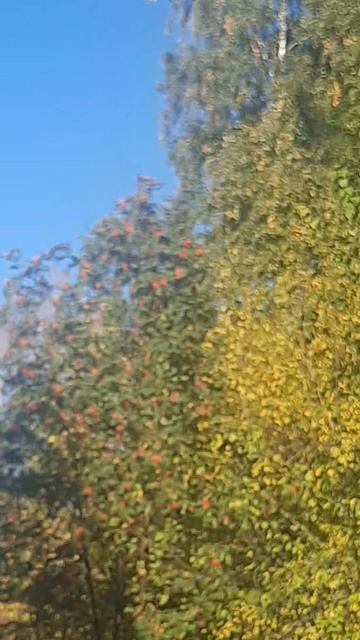 1000142320.mp4