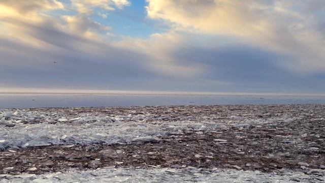 Зеленогорск 27.12.2024