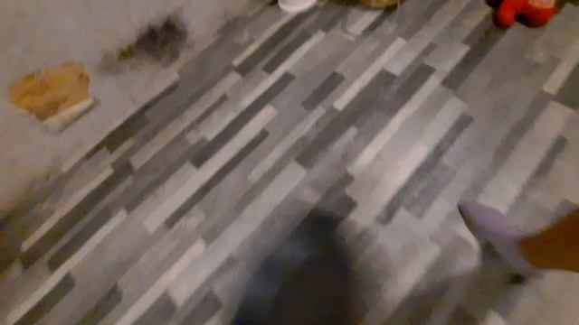 27-09-2026