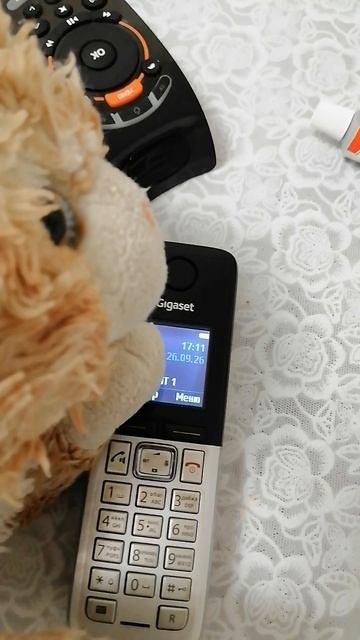 приключения кысульки 2 сезон 2 серия (звонок в полицию)