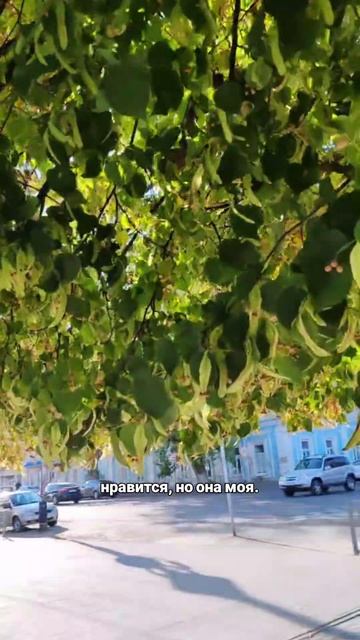 Жизнь слишком коротка чтобы предавать себя ради других  


отношения психология уверенность