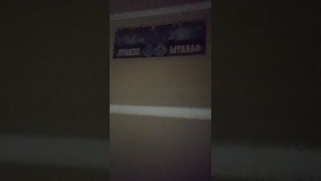 алиска сосиска хрюкала и PlayStation