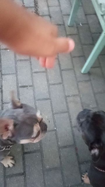 VID_20210615_154623.mp4