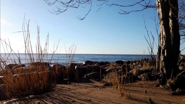Прогулки зелёного медвежонка. 42 Зеленогорск 08.11.2020