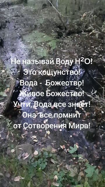 1000081881.mp4