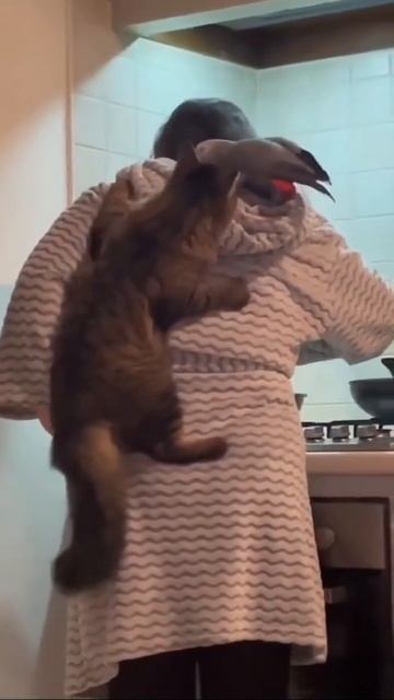 Ты кто такой. До свидания