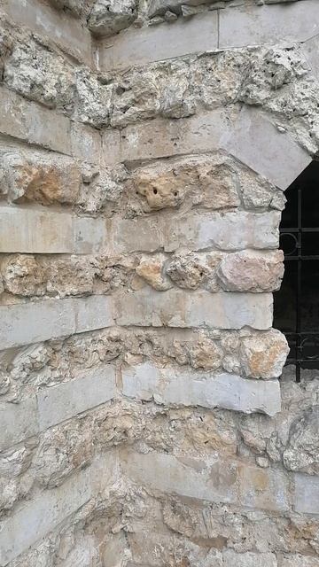 Парк Кузьминки (6)