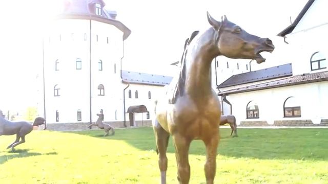 АРАБСКИЙ ЖЕРЕБЕЦ ARAB STALLION - 360