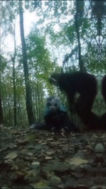 КВД топ