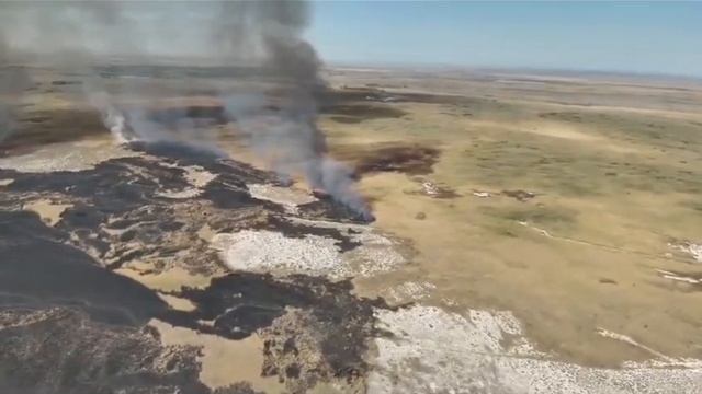 Степной пожар перешел на территорию Алакольского заповедника