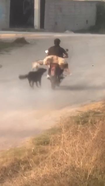 VID-20250419-WA0000.mp4