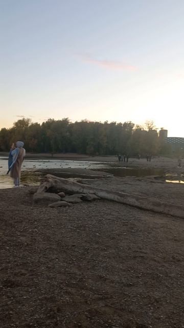 В конце ролика утка ржет 