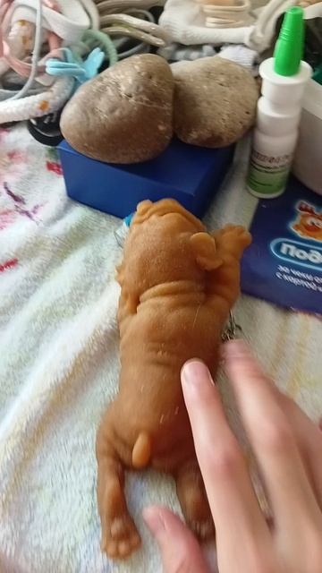 первое видео