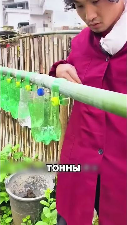 Пластиковые бутылки заменили ОГОРОД😲🔥♻️ #Shorts