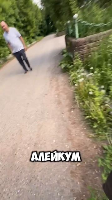 Яндекс доставка