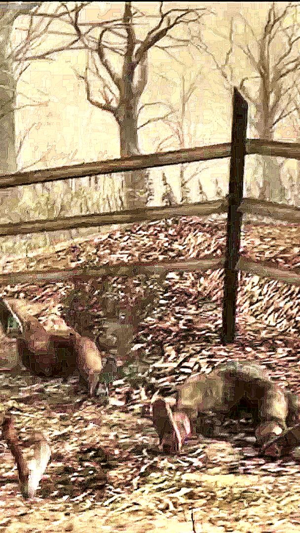 УБИЛ ДВОИХ ВРАГОВ ОДНИМ ВЫСТРЕЛОМ\ПРОХОЖДЕНИЕ Resident Evil 4\