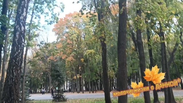 ГЛАЗА ЗАКРОЙ ДУШОЙ СМОТРИПРОГУЛКА ПО ПАРКУ. ЛУЧШИЙ СПОСОБ НАБРАТЬСЯ ЭНЕРГИЕЙ ЗДЕСЬ НУЖНО ГУЛЯТЬ