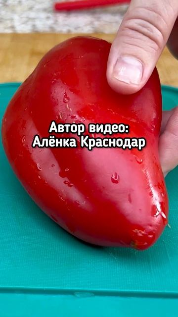 Дети всегда просят добавки: простой и вкусный суп с фрикадельками
