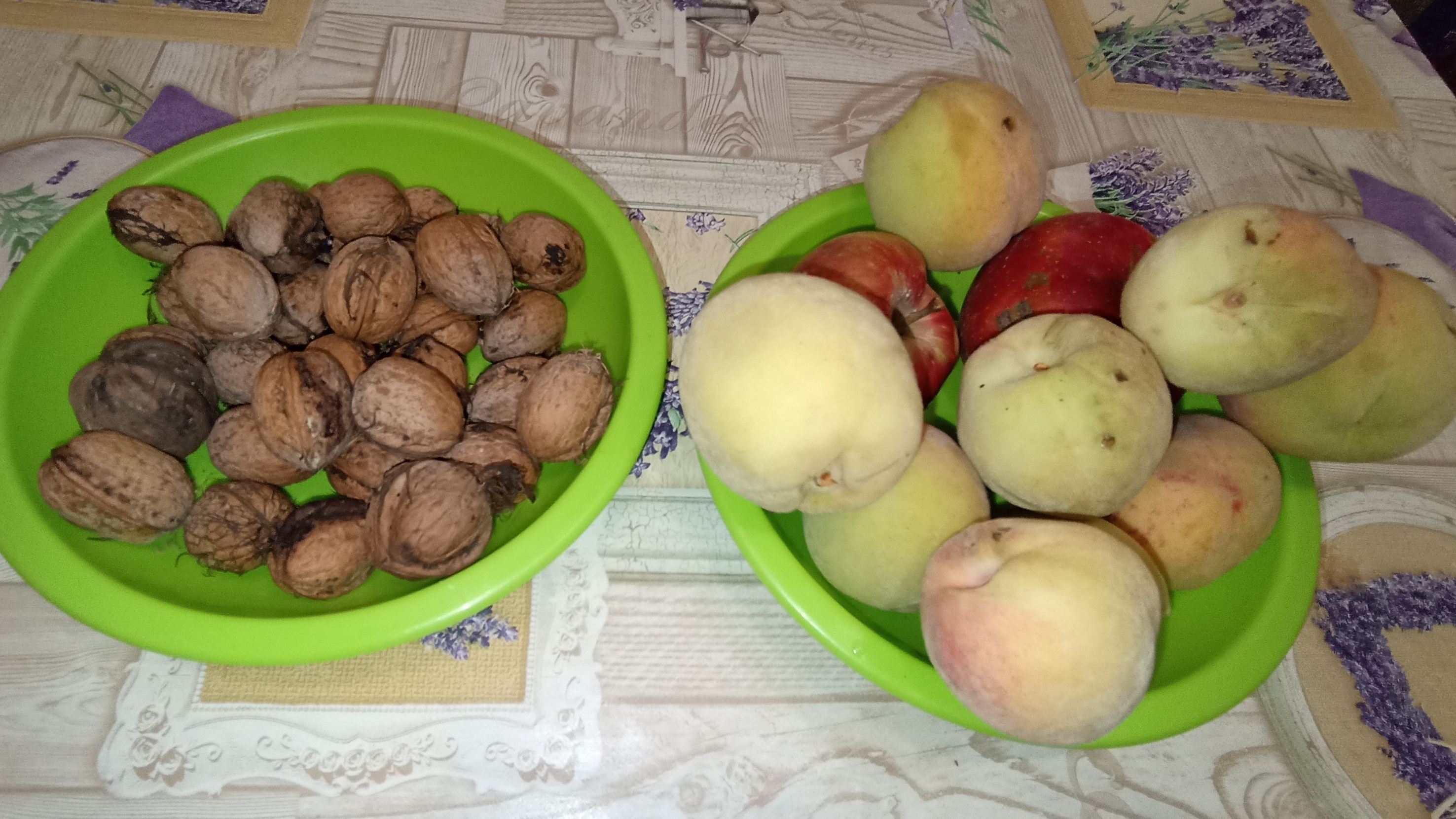 Орехи нынче не уродились а персики порадовали первым урожаем.