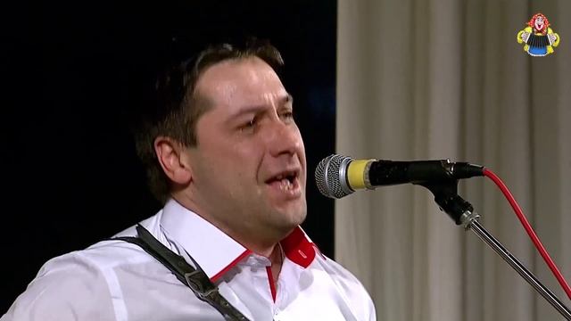 Гармонь-тальянка  Виктор Холин. Песня что за душу берёт!