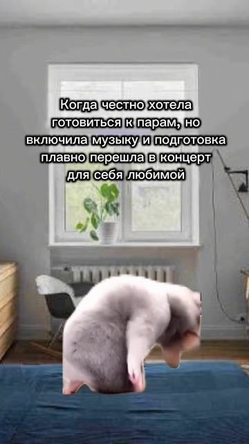 Типичная подготовка к паре  саратов юристы преподаватель юмор скетчи