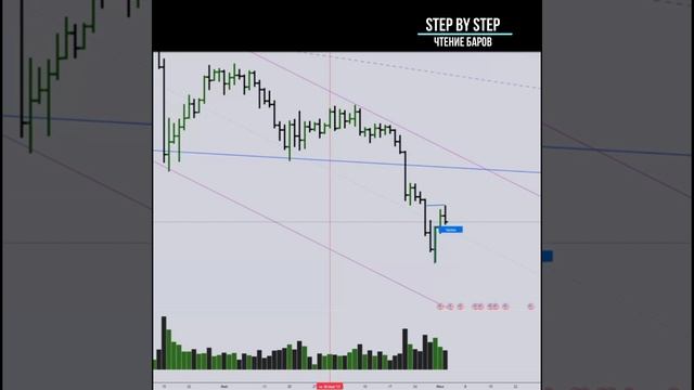 STEP By STEP чтение баров