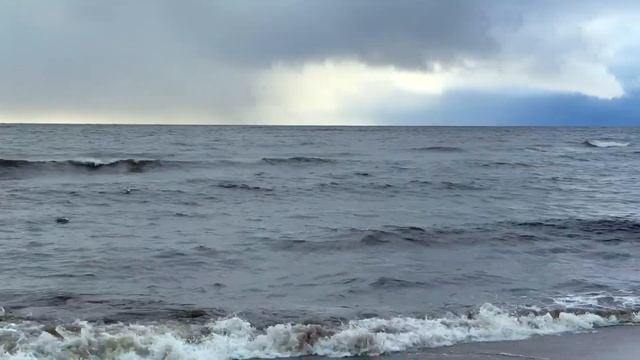 Зеленогорск 18.11.2024