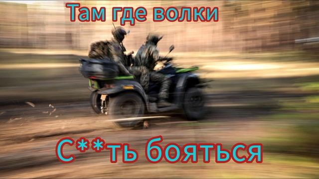 Там где волки сть бояться