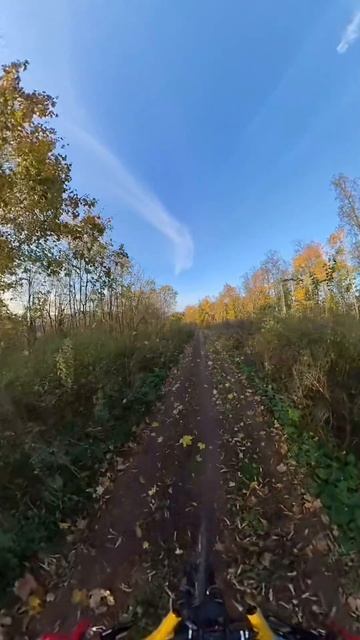 новый спот для моего подвеса