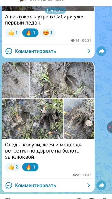 Обзор канала за неделю