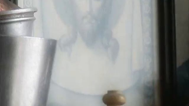 1000065956.mp4