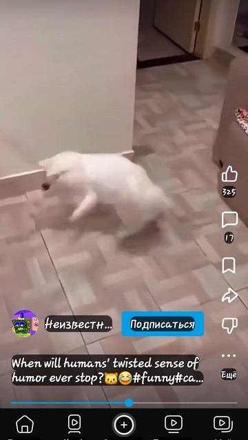 1000005865.mp4