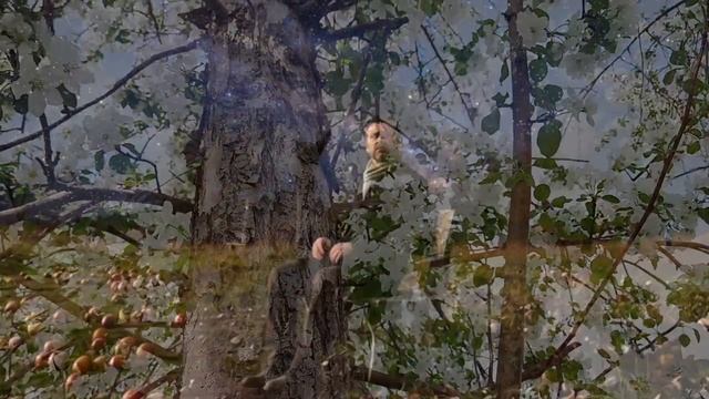 В этот вечер