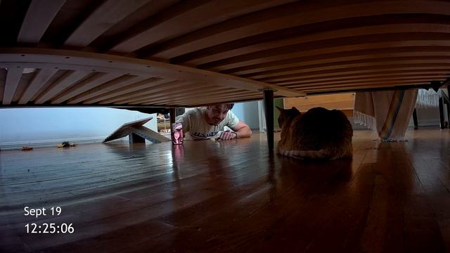 Cat Cam (2026) — Trailer