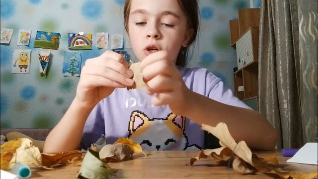 petal_20260927_211550.mp4