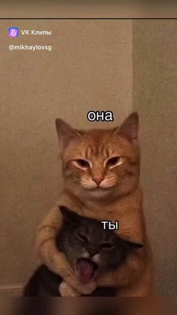 Мужик сказал мужик сделал 