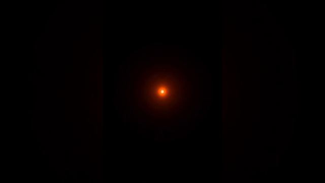 жизнь джунглей