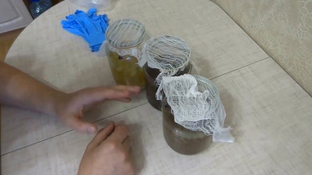 Домашние винные дрожжи рецепт закваски на изюме для вина