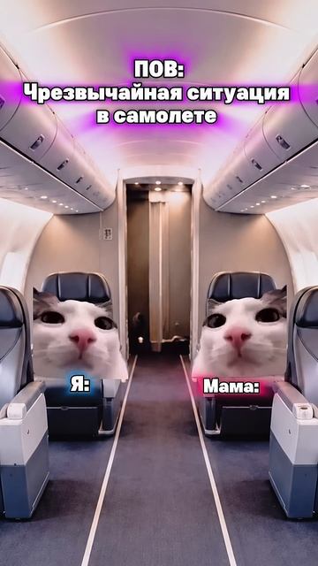 Вот такая вот ситуация котята мемы жиза шортс