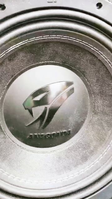 Anaconda 12 от компании DL Audio