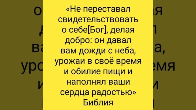 YouCut_20260926_153935062.mp4