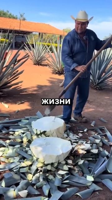 Какая у вас есть тайна которую вы унесёте с собой в могилу