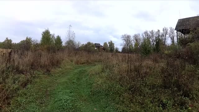 Осенняя прогулка!