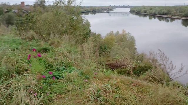 У родного берега.