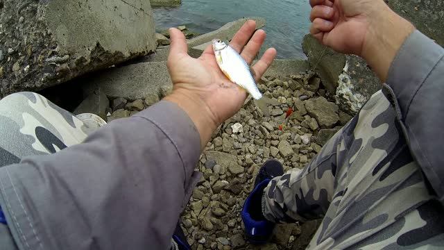 Мы дома шестой водосброс. Рыбалка 27.09.26.