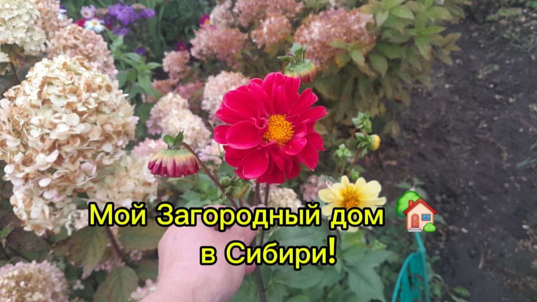 VLOG ЖИЗНЬ В ТАКТ СУДЬБЫПЕРВЫЕ ЗАМОРОЗКИ 26-27.09.2026ДЕРЕВЕНСКИЕ ИЗЫСКИ